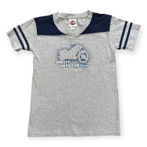 Harley-Davidson Boys' Colorblocked Short Sleeve Knit Tee - Gray Size L